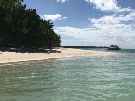 Screamer Boat Tours-多巴哥必去景点