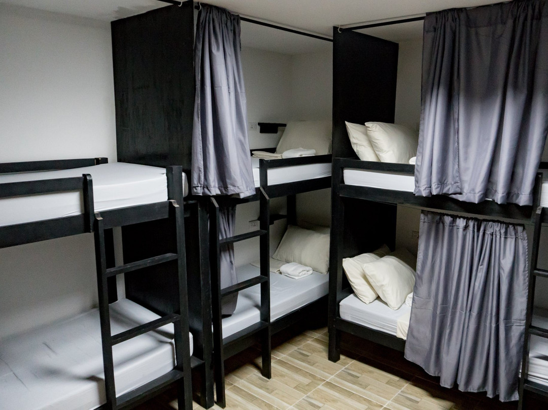 Crazy Bears Hostel主图