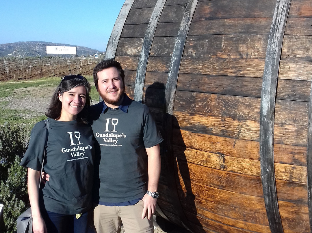 The Wine Route-恩塞纳达必去景点