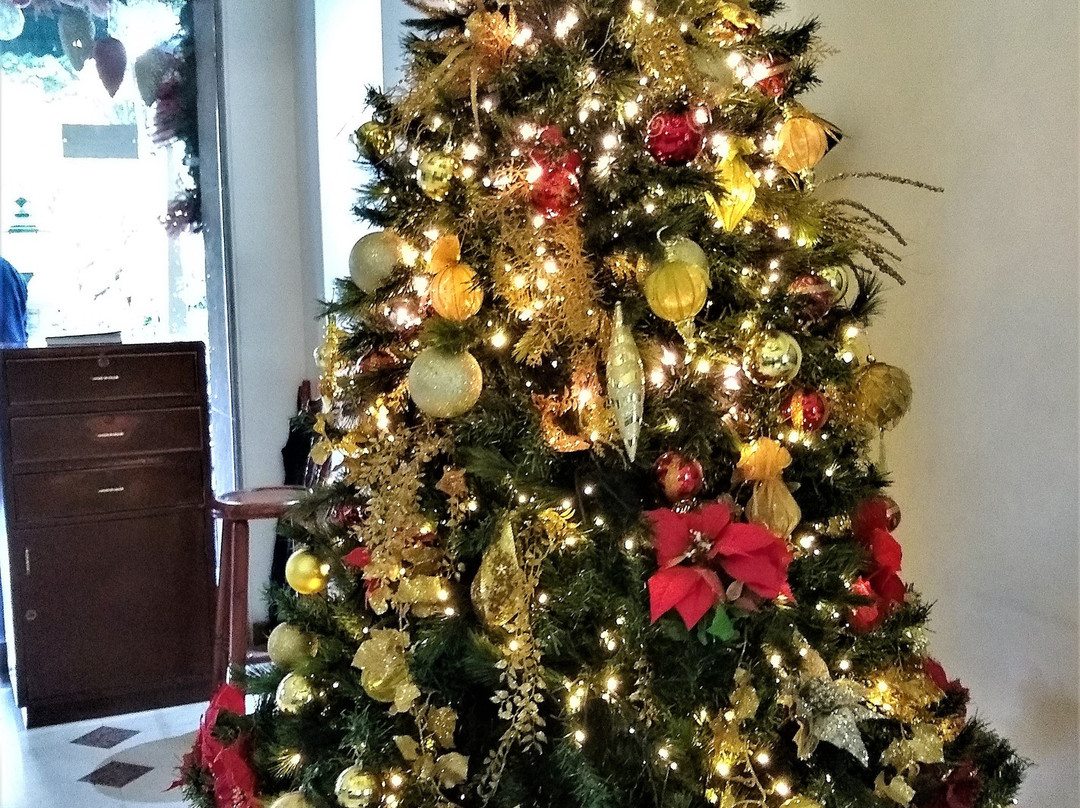 Hotel Obelisco Cali主图