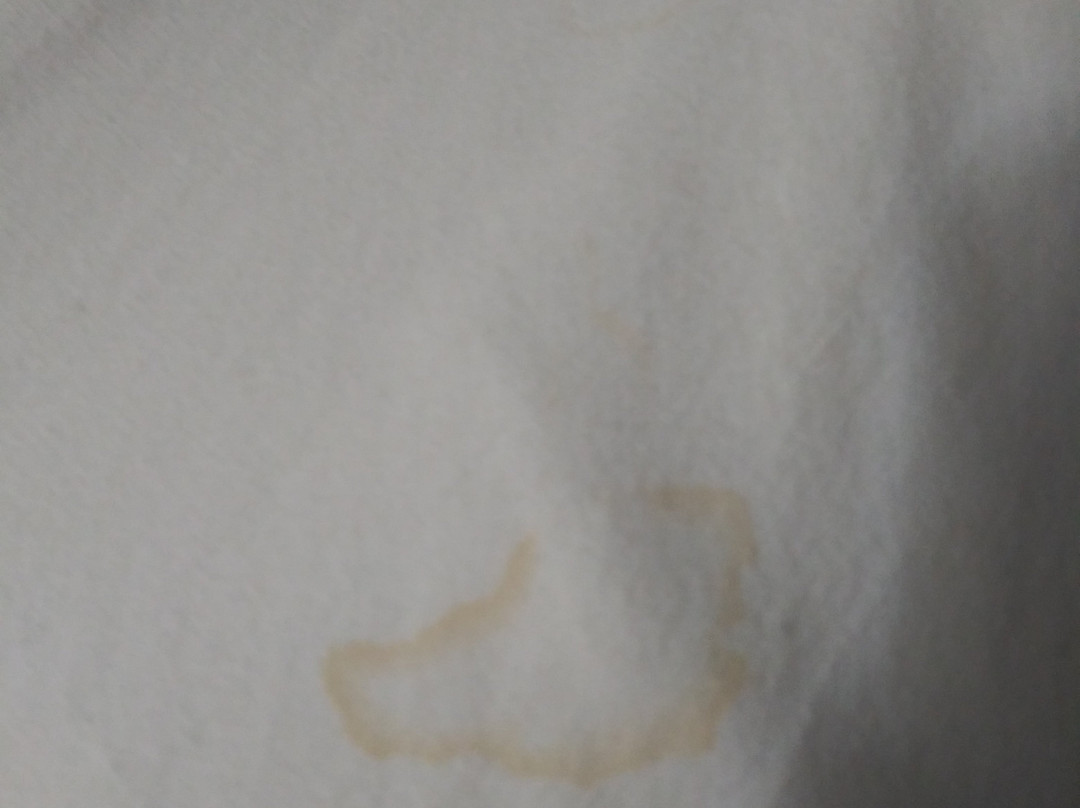 Rodeway Inn Bristol Near State Street主图