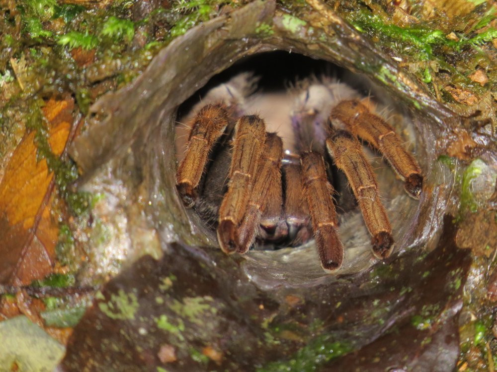 Stephen's Place B&B主图