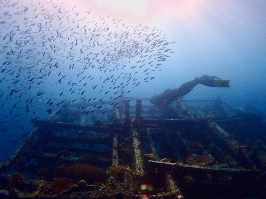 SCUBA BUDDY SIPADAN景点图片