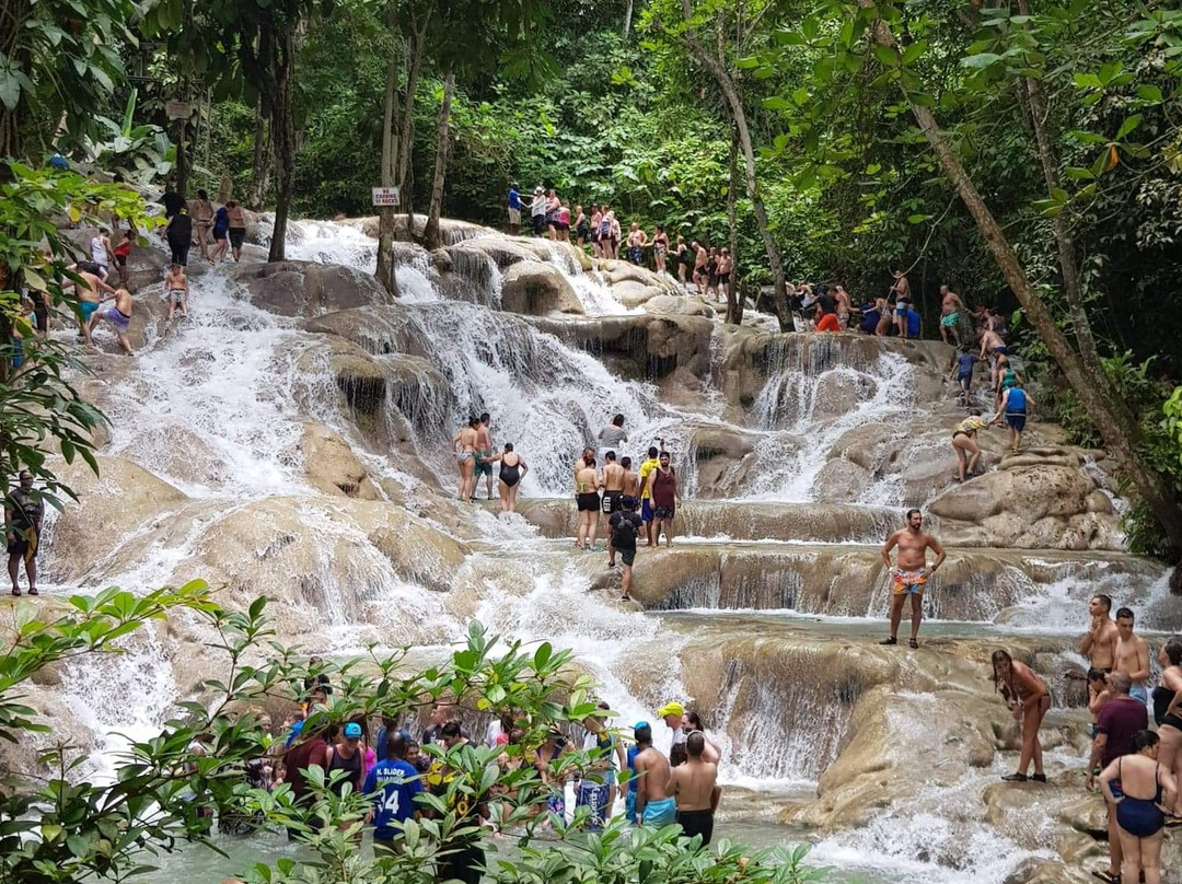 DT's Jamaica Tours and Taxi Service-奥乔里奥斯必去景点