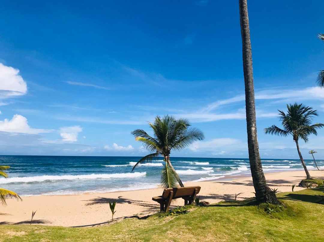 Pousada Taipu de Fora主图