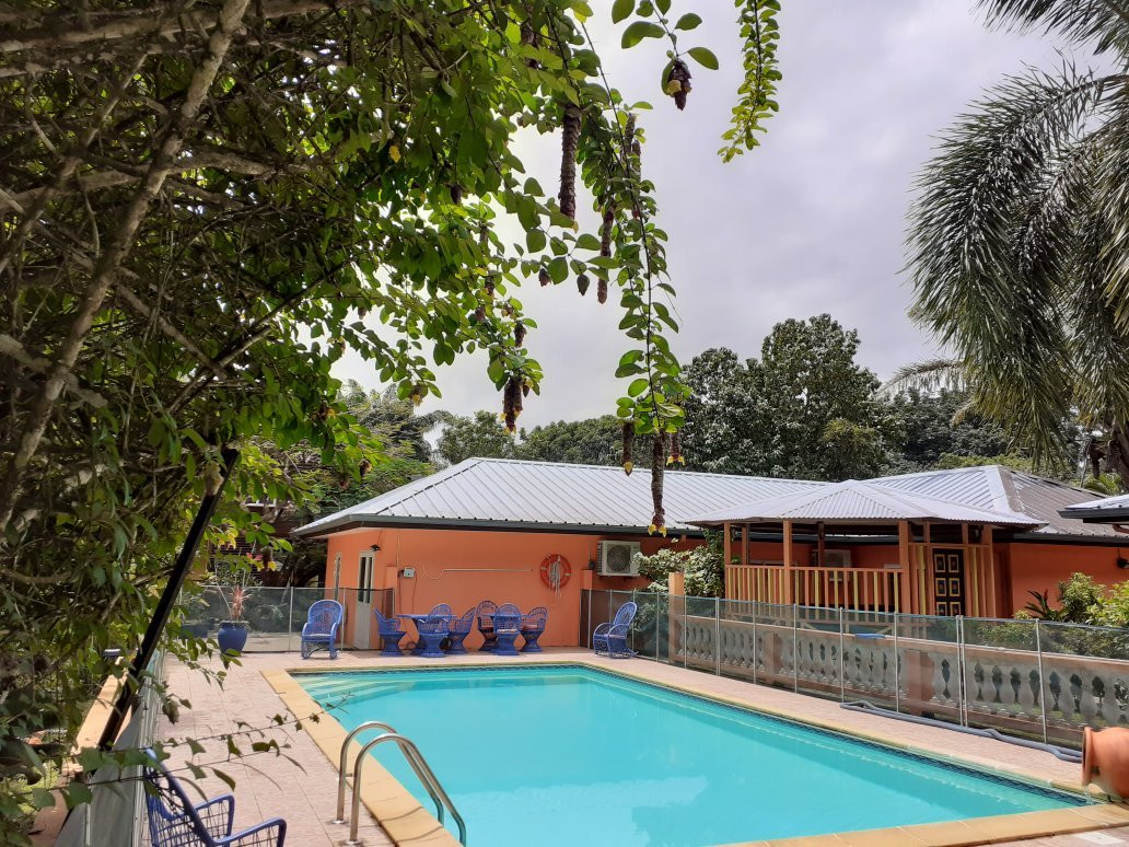 L'Ebène Verte主图