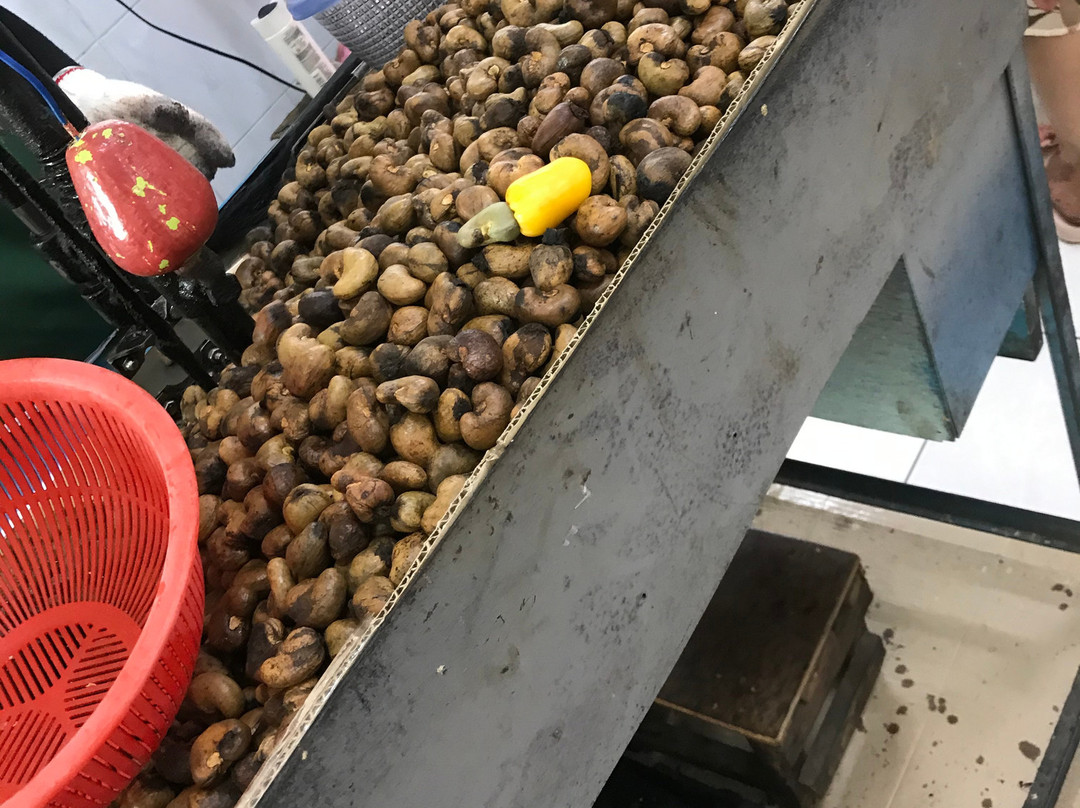 Phuket Tours-普吉镇必去景点