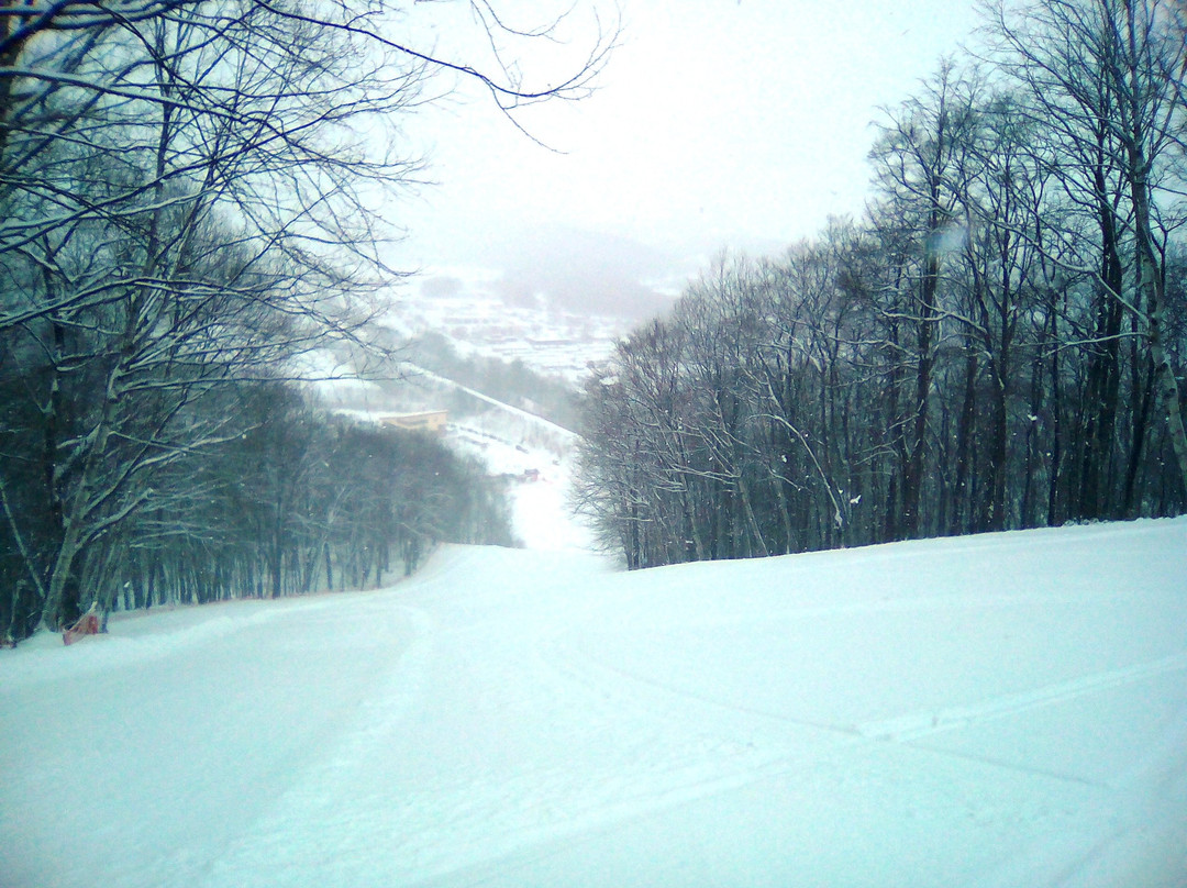 Shintokuyama Ski Area-新得町必去景点
