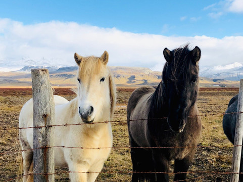 Nonni Travel-阿克雷里必去景点