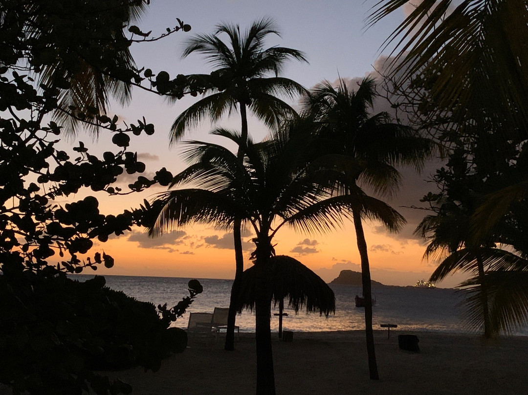 Palm Island Resort & Spa主图