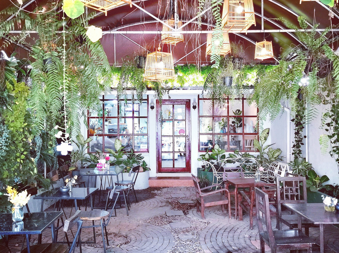 Iris Café Nimman