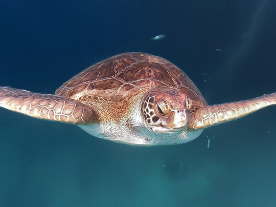 Adventoure & Experiences-洛斯克里斯蒂亚诺斯必去景点