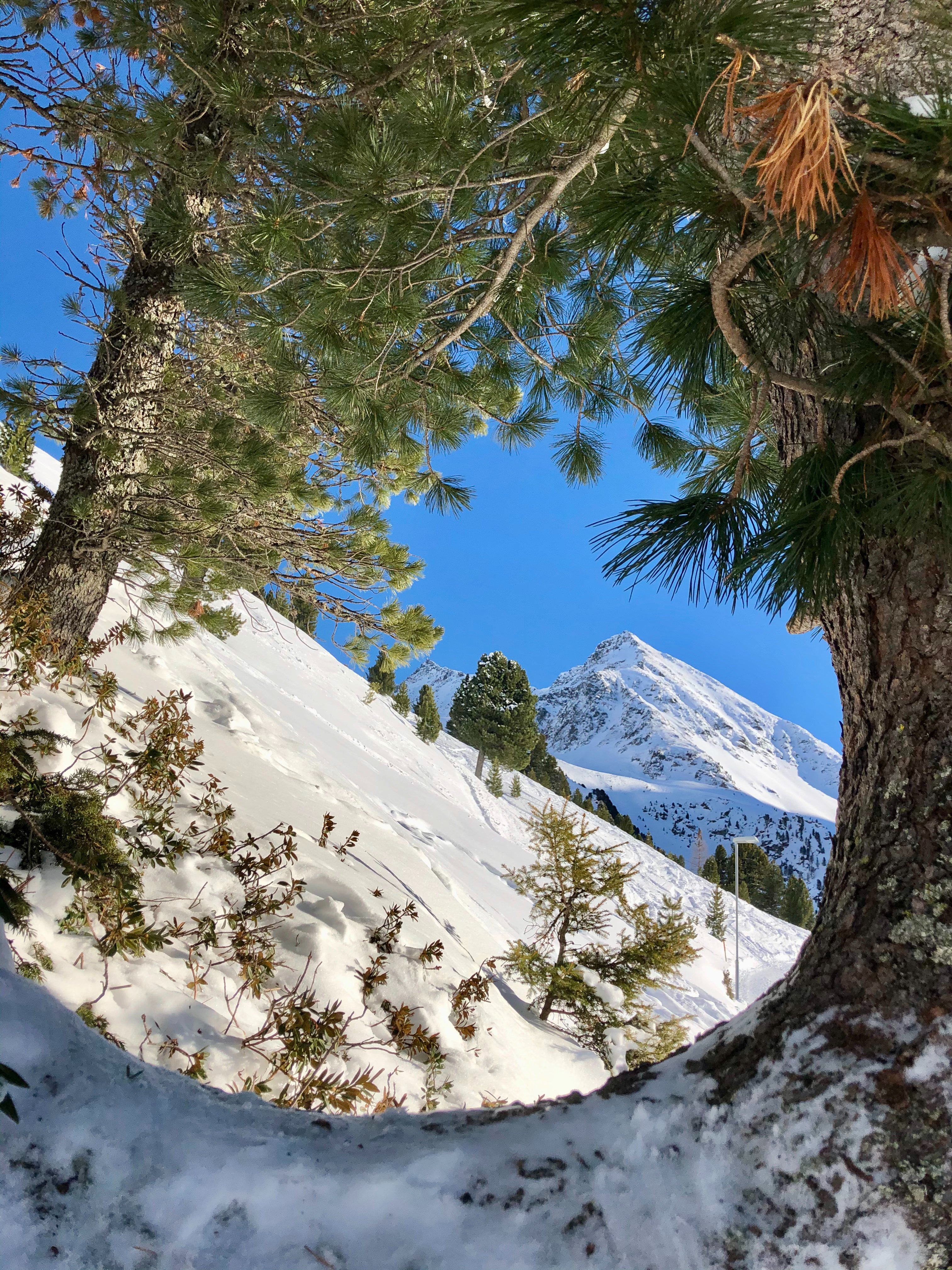 Sonne & Schnee in Kuehtai-官方