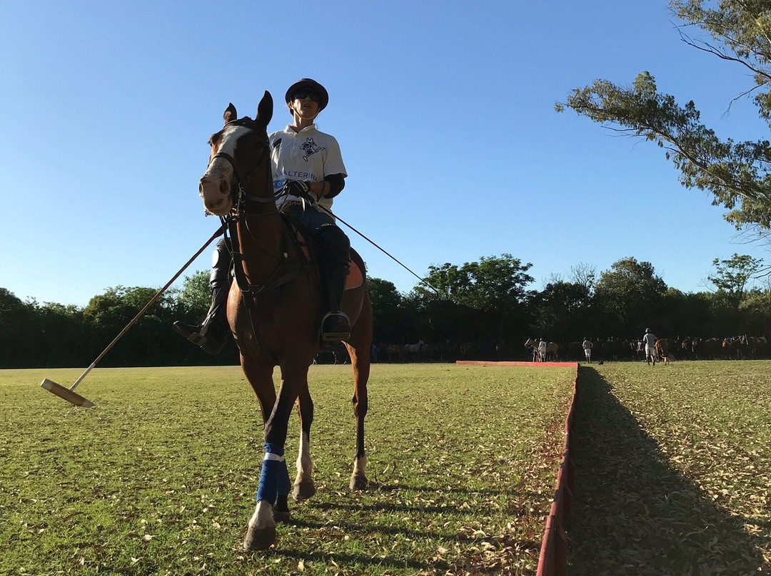 Polo in Buenos Aires景点图片