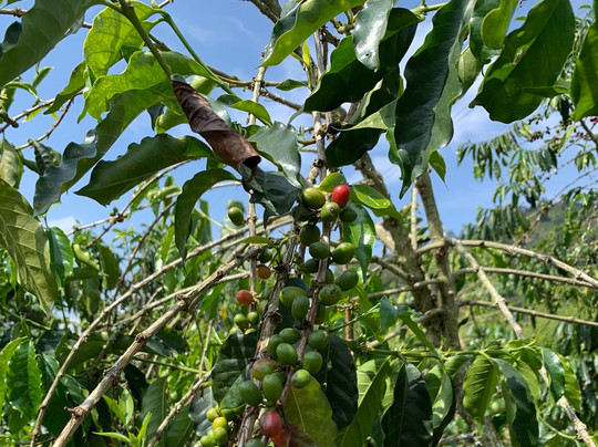 Overlanding Colombia-波哥大必去景点