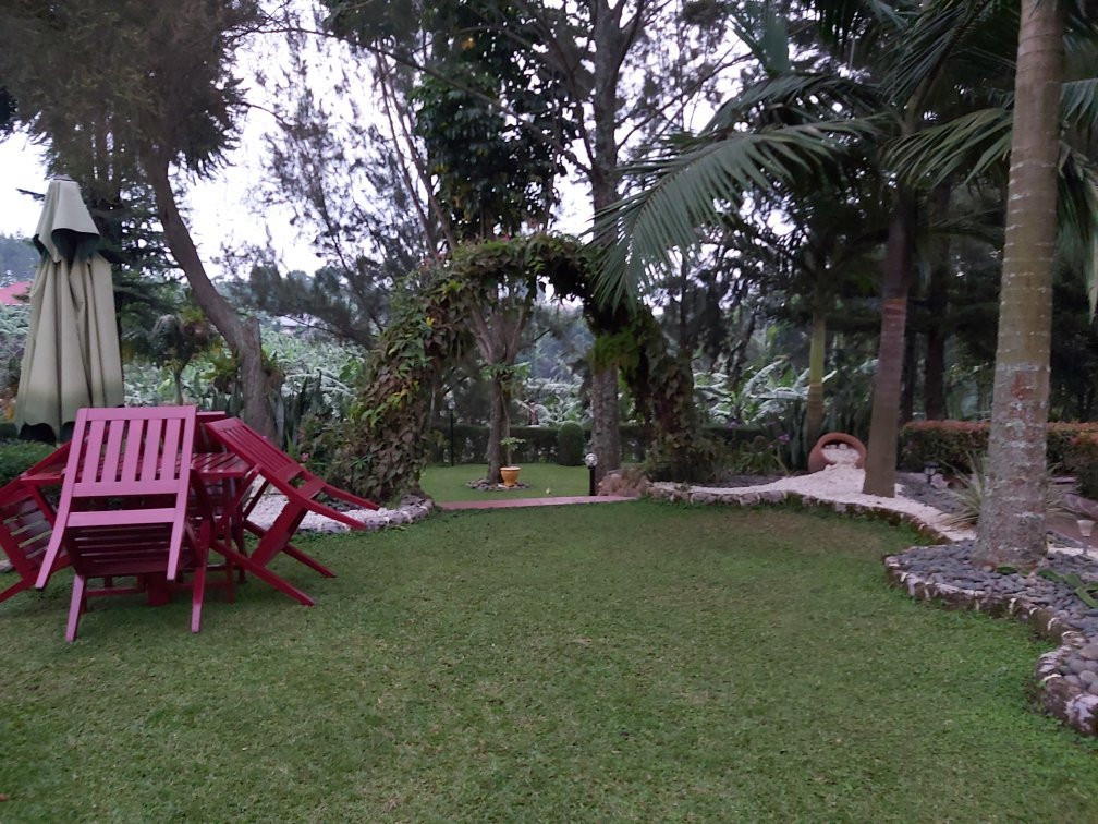 Sheevys Bed and Breakfast主图