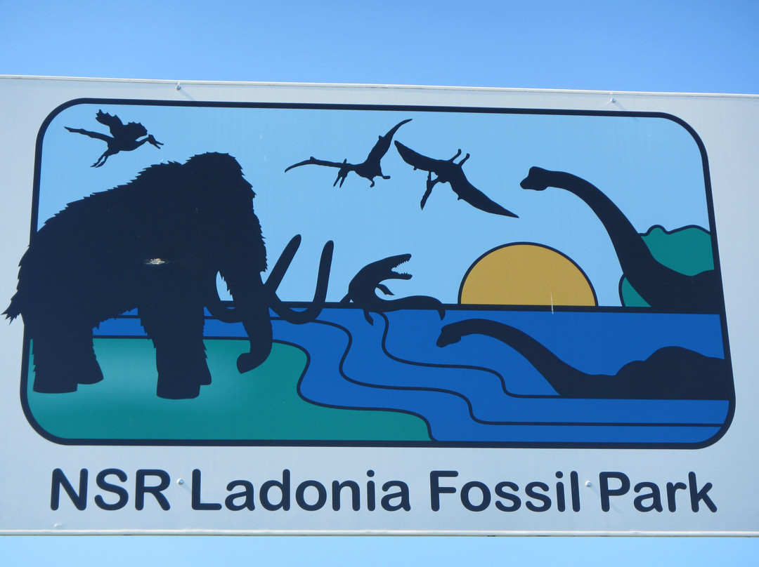 NSR Ladonia Fossil Park景点图片
