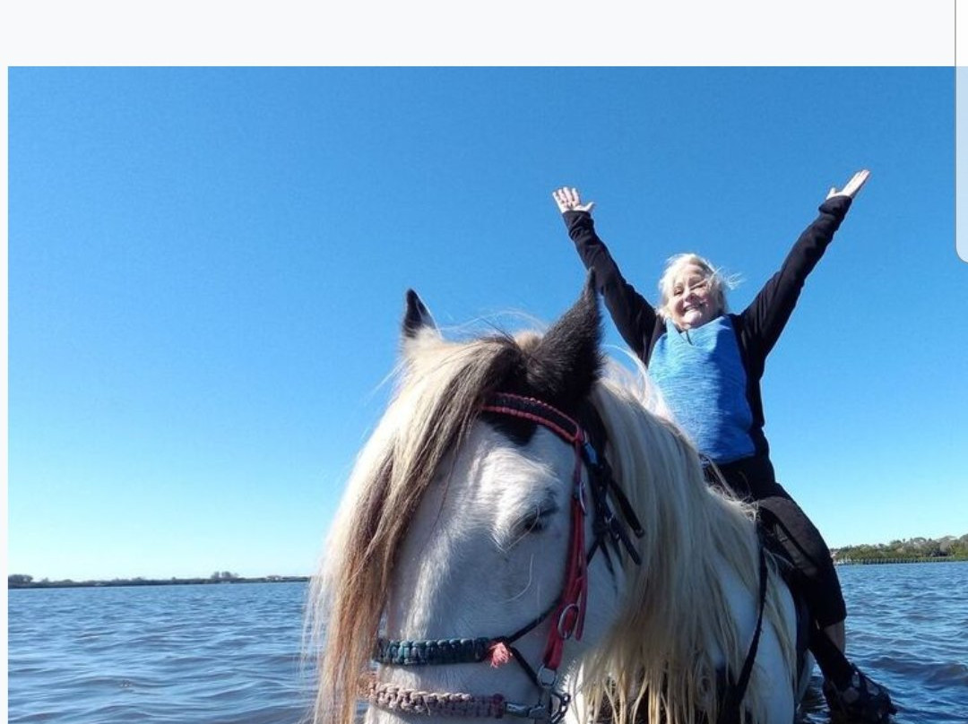 C Ponies Beach Horseback Rides-布雷登顿必去景点