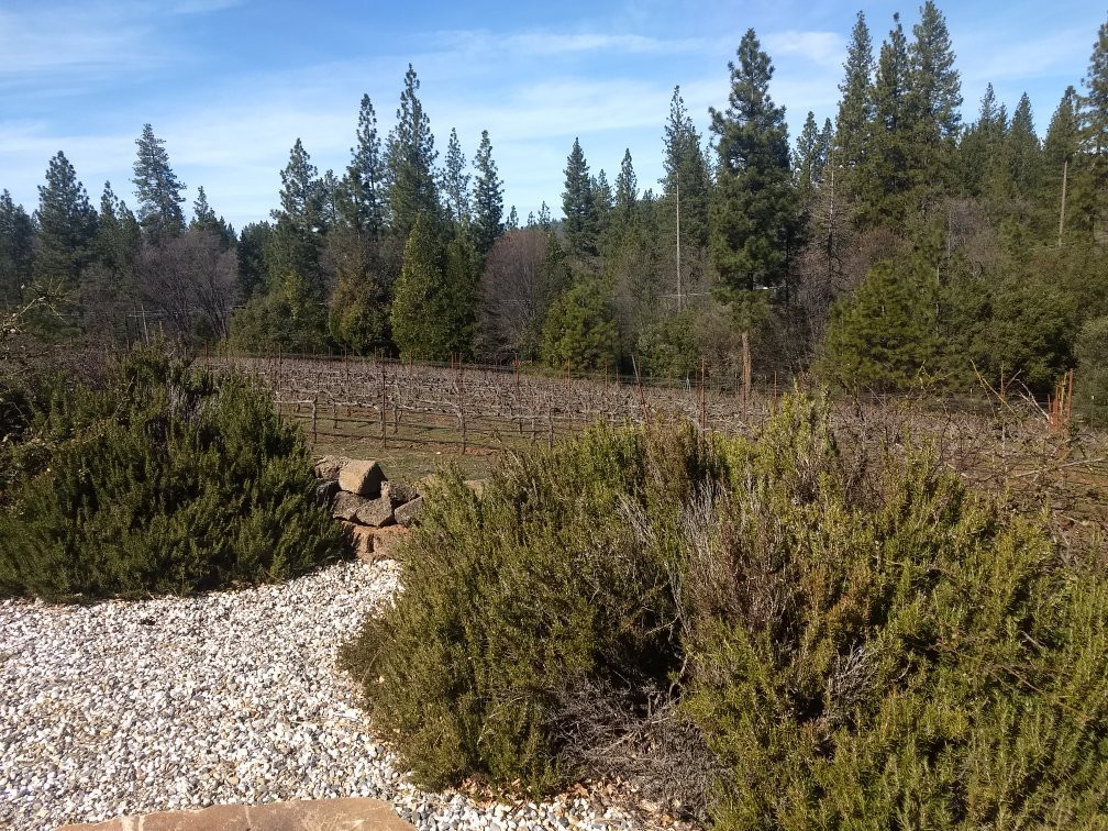 Miraflores Winery-普莱瑟维尔必去景点