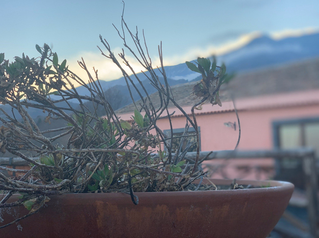 Agriturismo Feudo Magazzeni主图