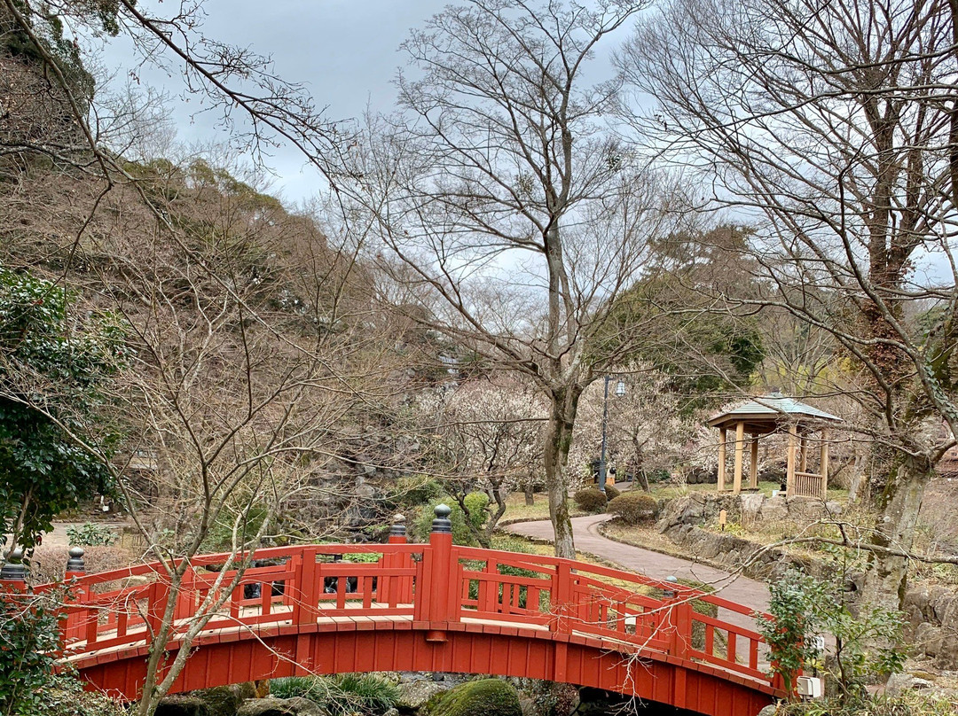 Atami Baien Ume Blossom Festival-热海市必去景点