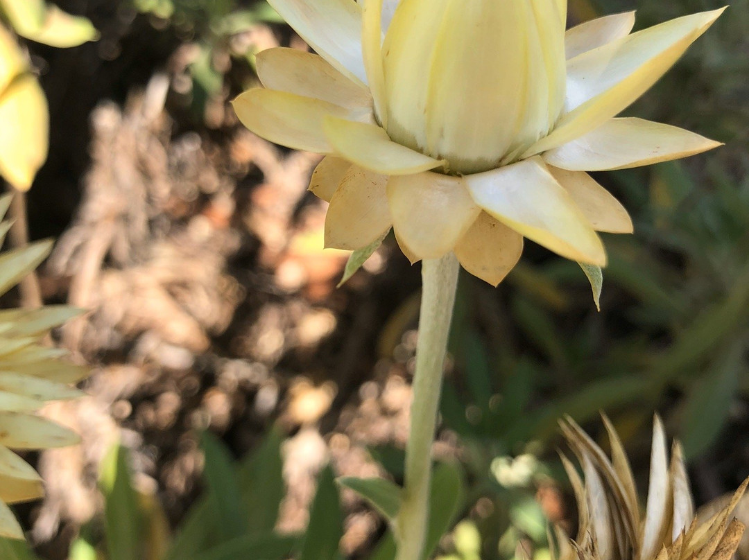 Seville Estate-Seville必去景点