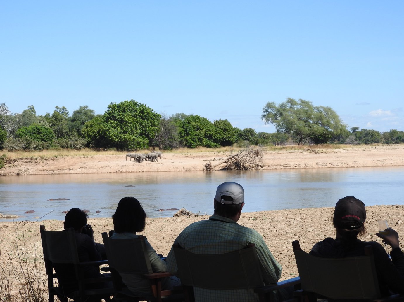 Shenton Safaris Kaingo Camp-餐饮