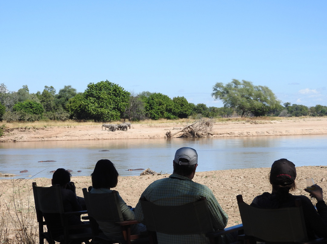Shenton Safaris Kaingo Camp主图
