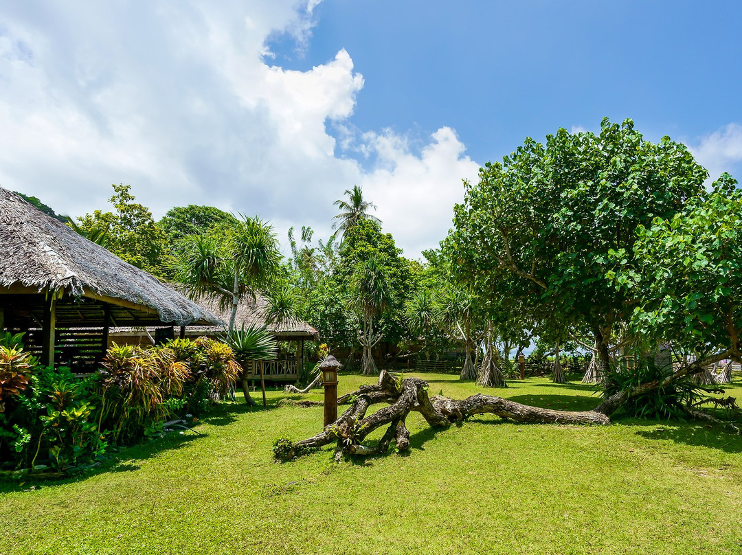 Aura Surf Resort主图