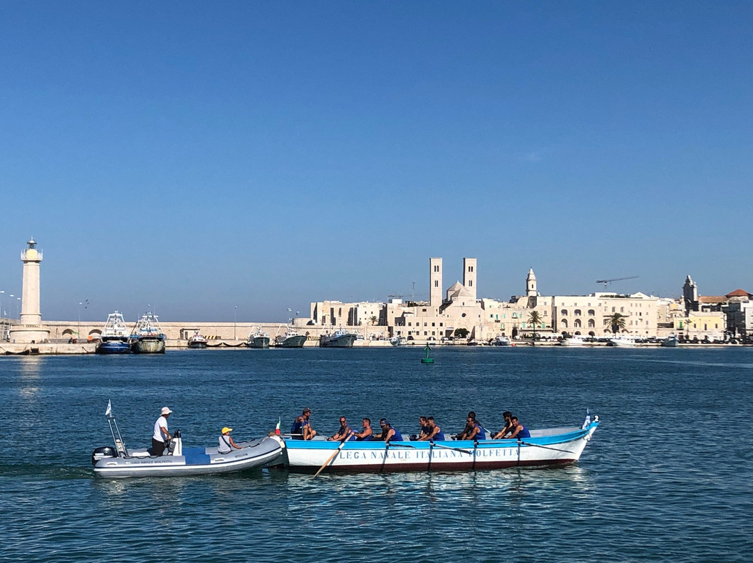 Duomo di Molfetta - Parrocchia San Corrado景点图片