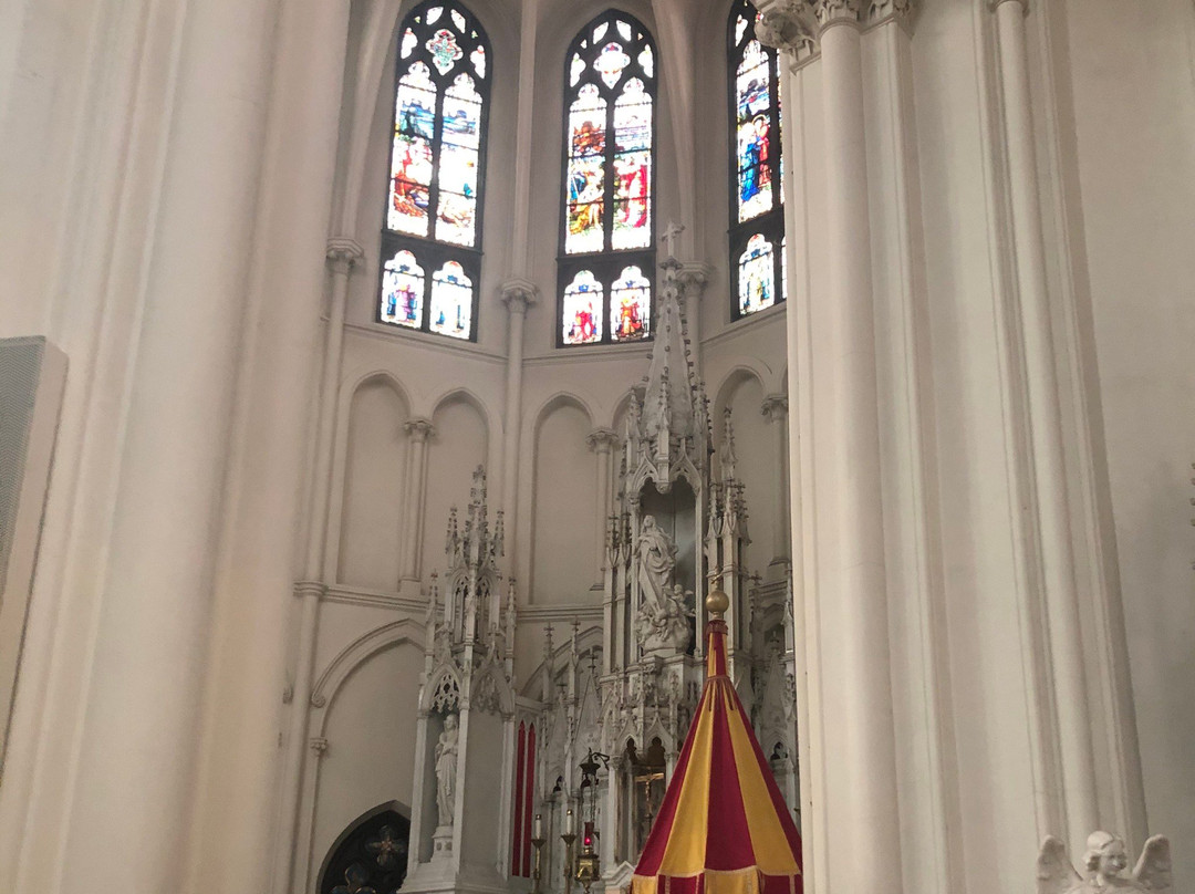 Cathedral of the Immaculate Conception景点图片