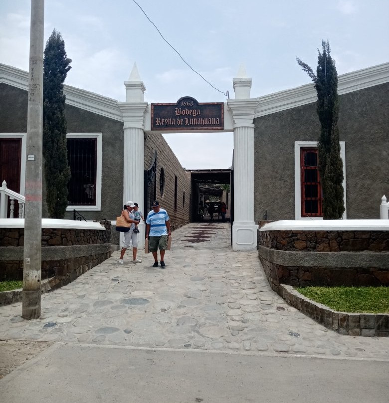 La Reyna de Lunahuana-Lunahuana必去景点