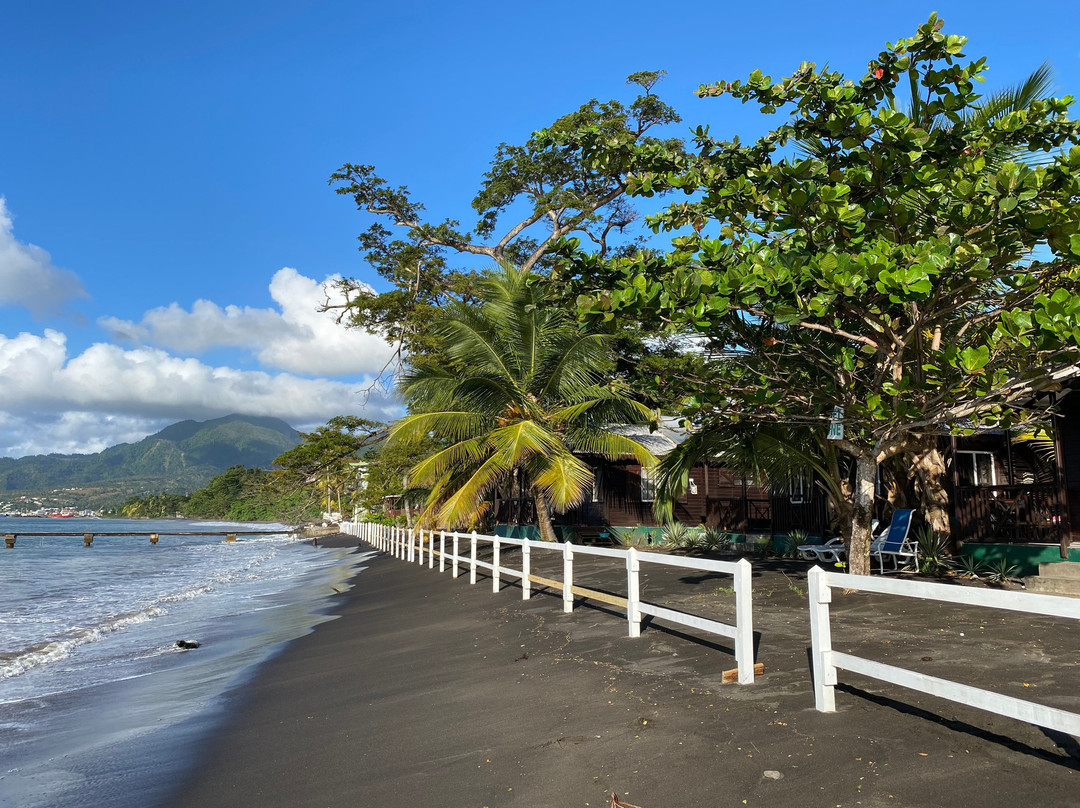 皮卡德海滩别墅酒店主图