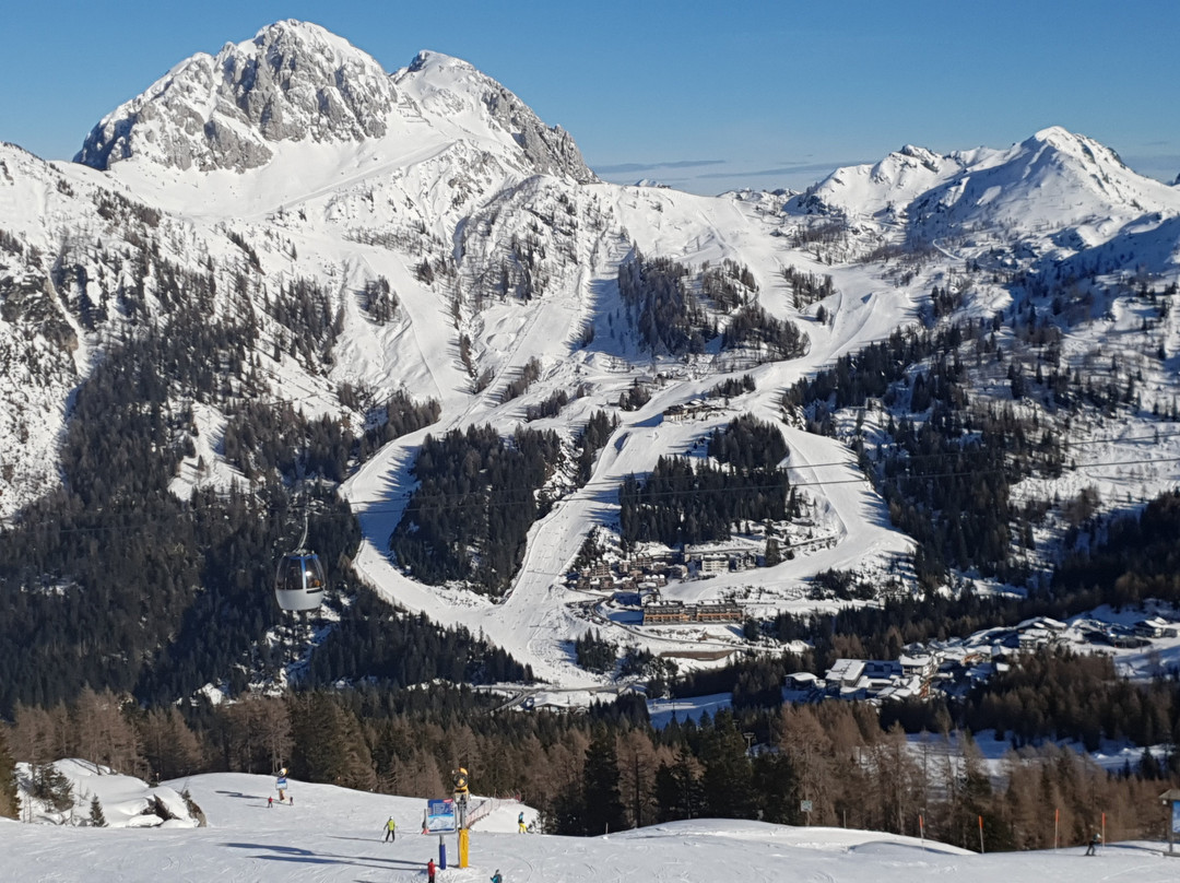 Alm Hotel Karnten主图