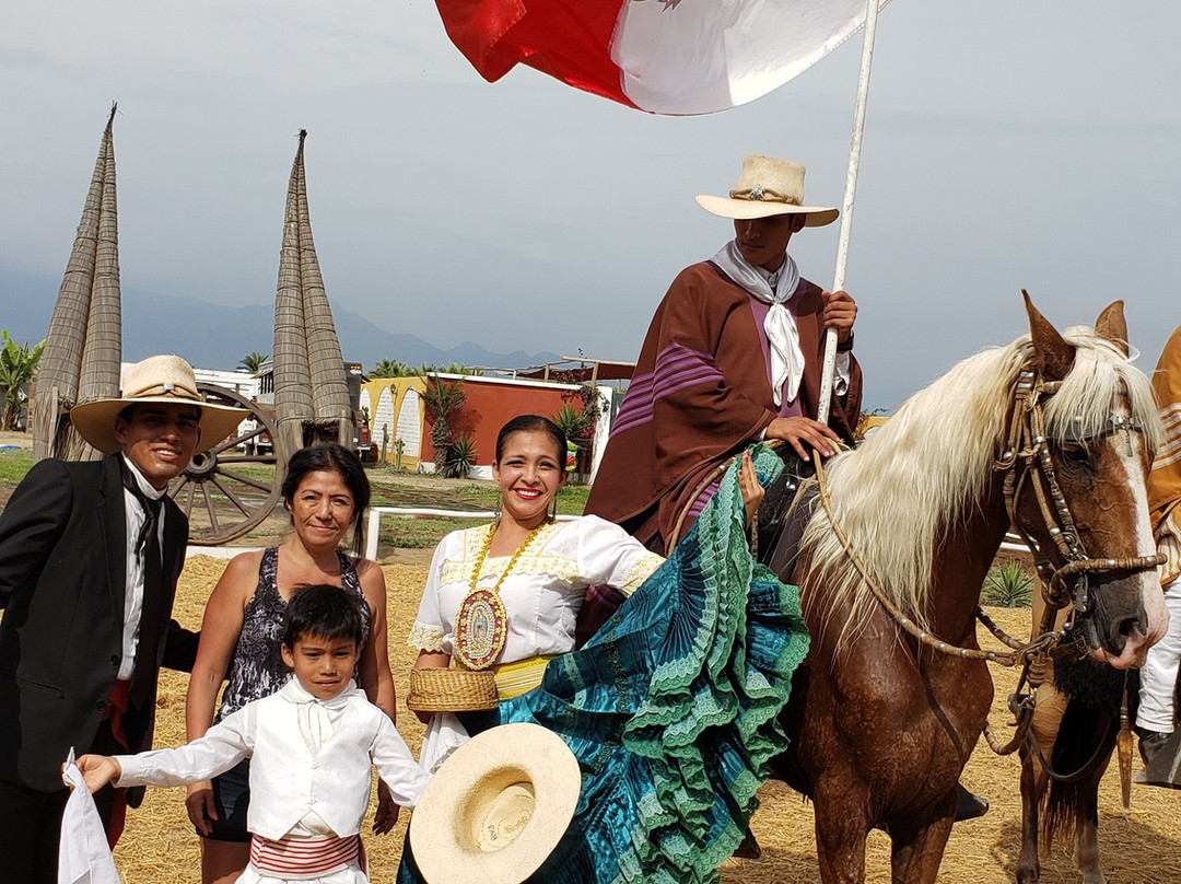 Caballos Peruanos De Paso-特鲁希略必去景点
