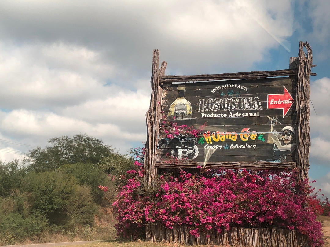 Tour Guide Mazatlan-马萨特兰必去景点