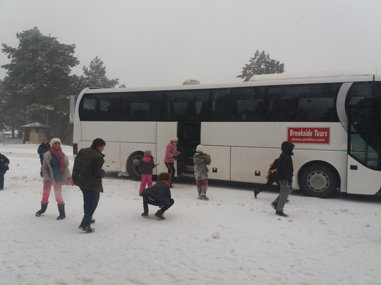 Brookside Tours-库萨达斯必去景点