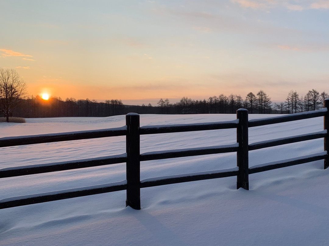 Tsurui Ito Red-crowned Crane Sanctuary-鹤居村必去景点