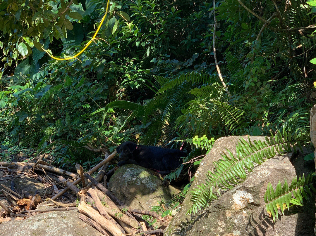 Las Pailas-Luquillo必去景点