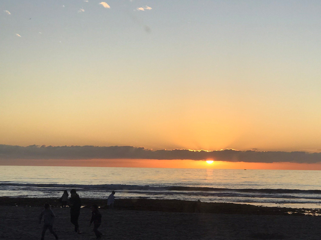 太平洋海滩景点图片