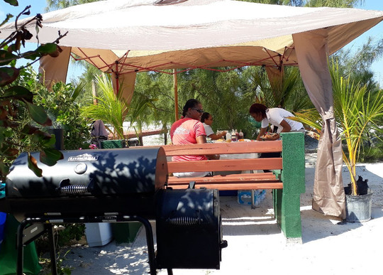 Best Day Tours-普罗维登西亚莱斯必去景点