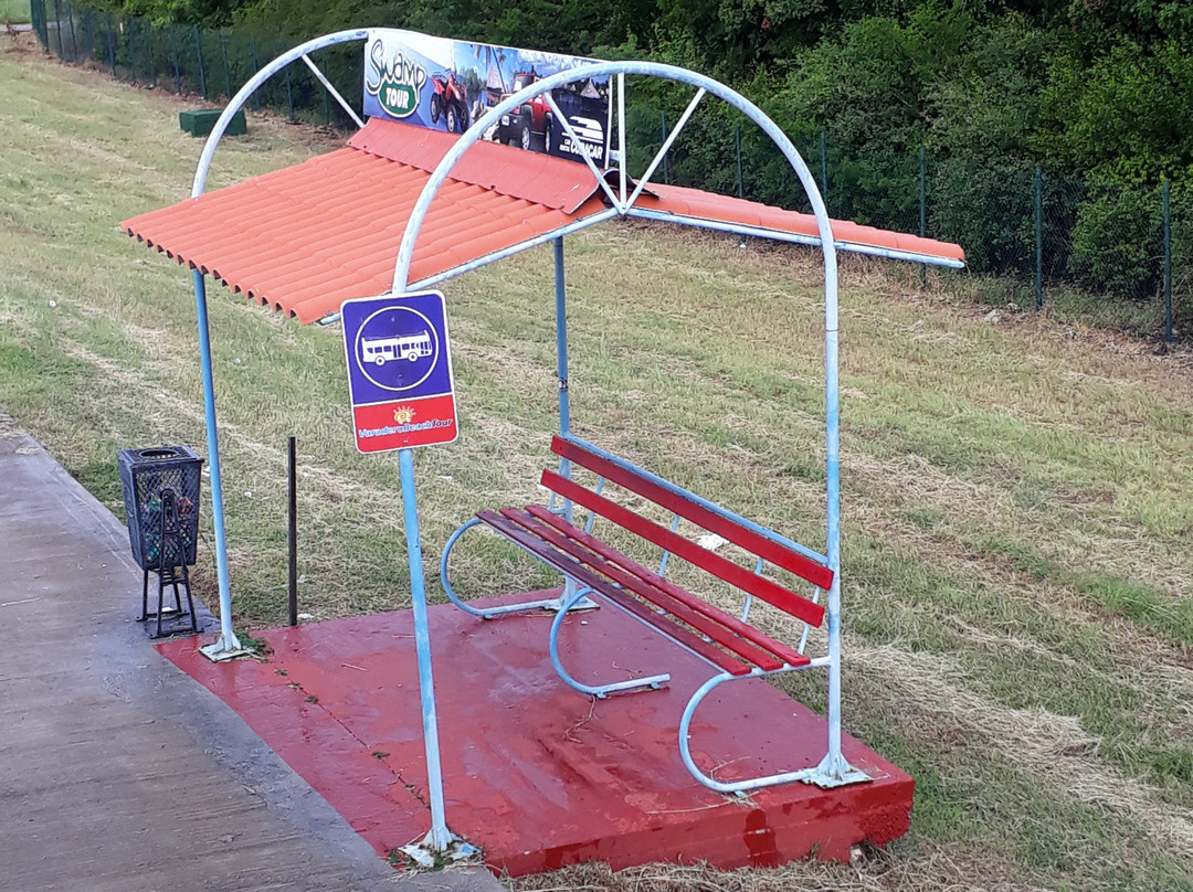 Varadero Bus Transportation-巴拉德罗必去景点