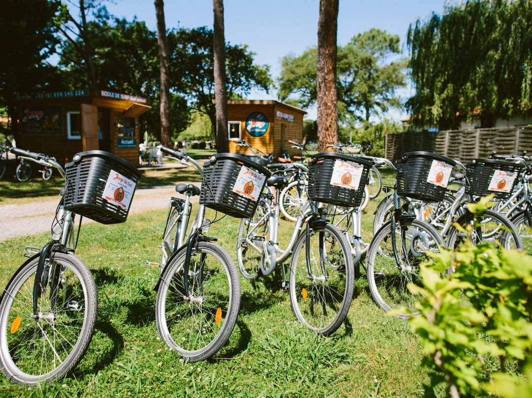 Jerry Bike Rental景点图片
