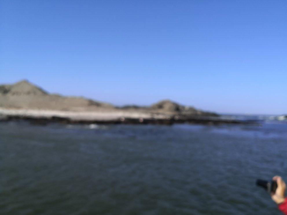 Penguin Catamaran Tours-吕德里茨必去景点