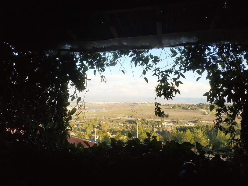 Miki's Rosh Pina主图