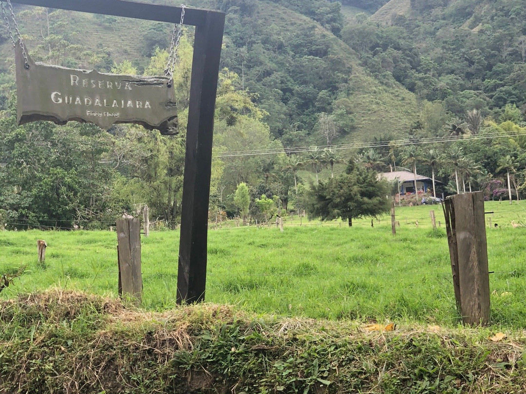 Reserva Guadalajara主图