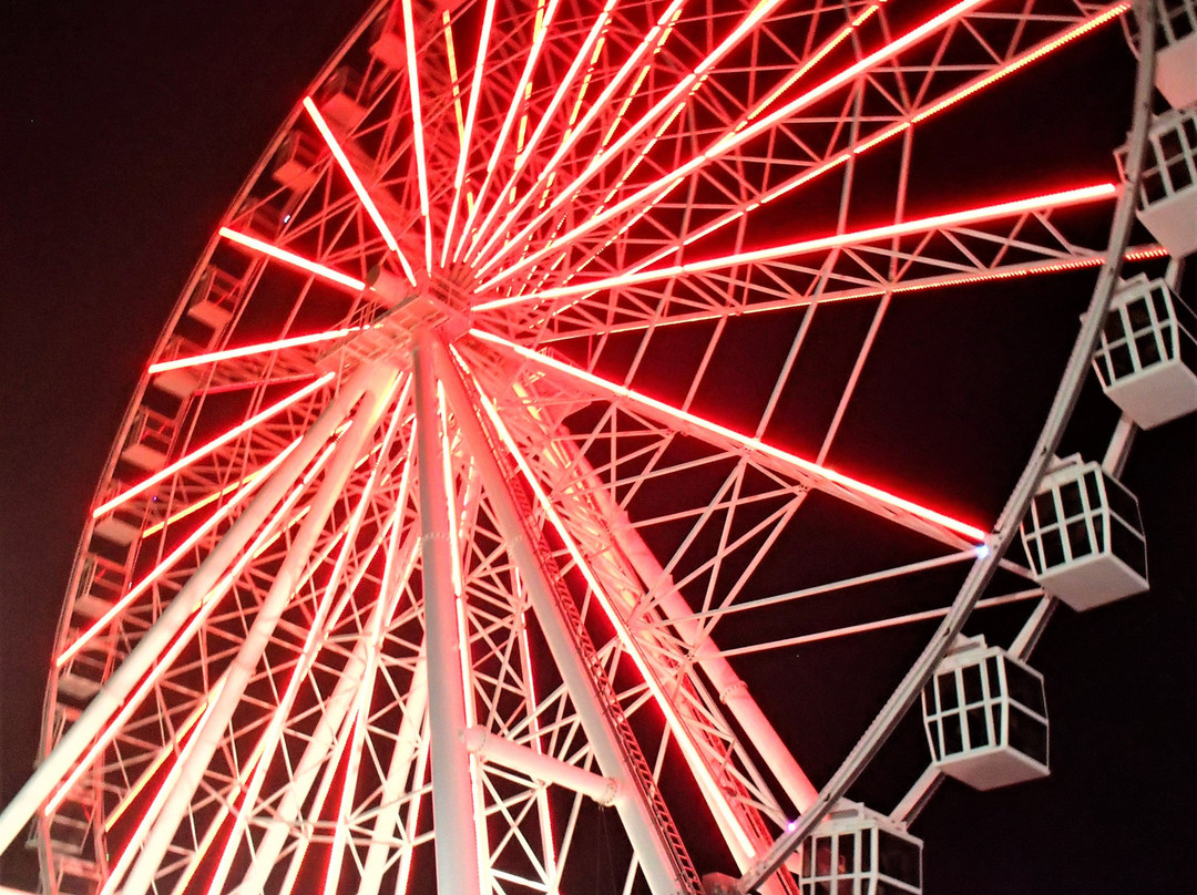 The Wheel at Steel Pier景点图片