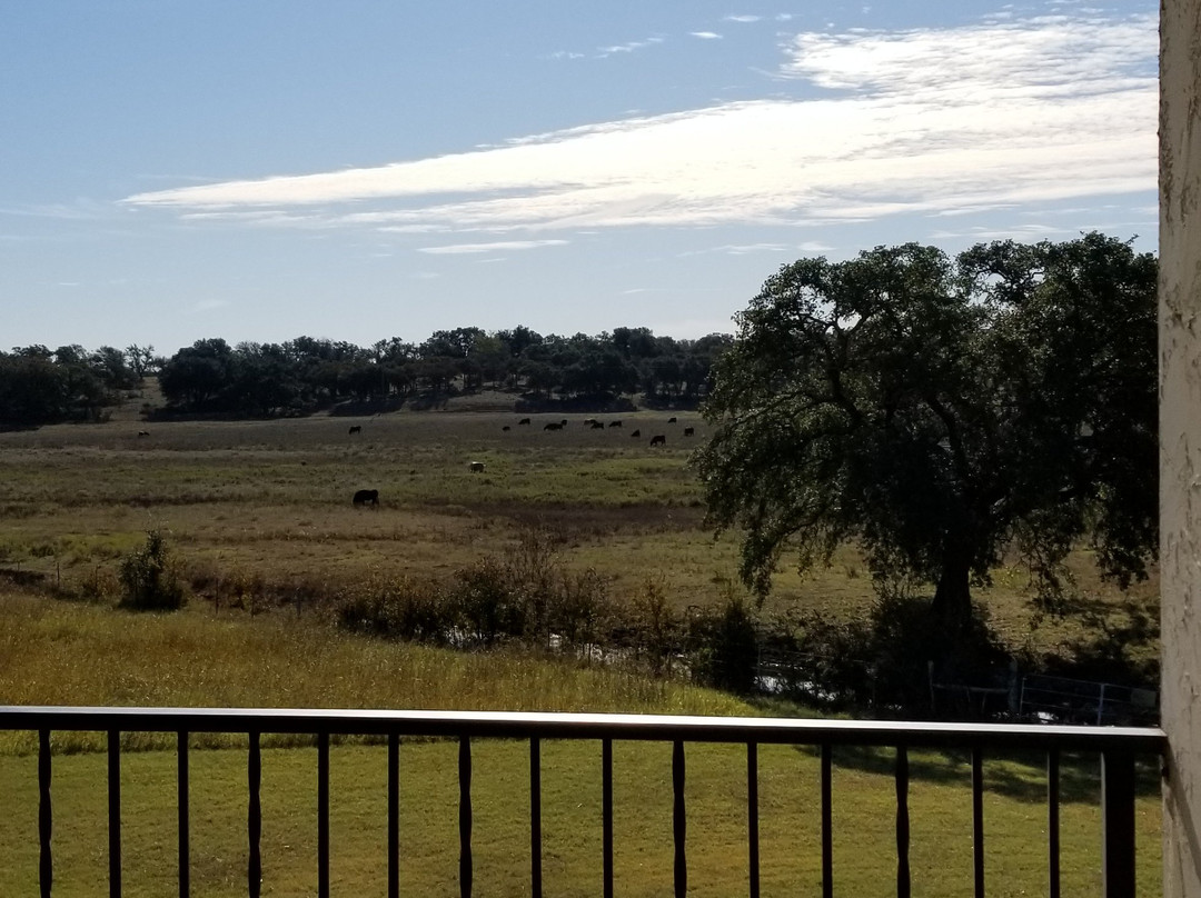 The Vineyard at Florence主图