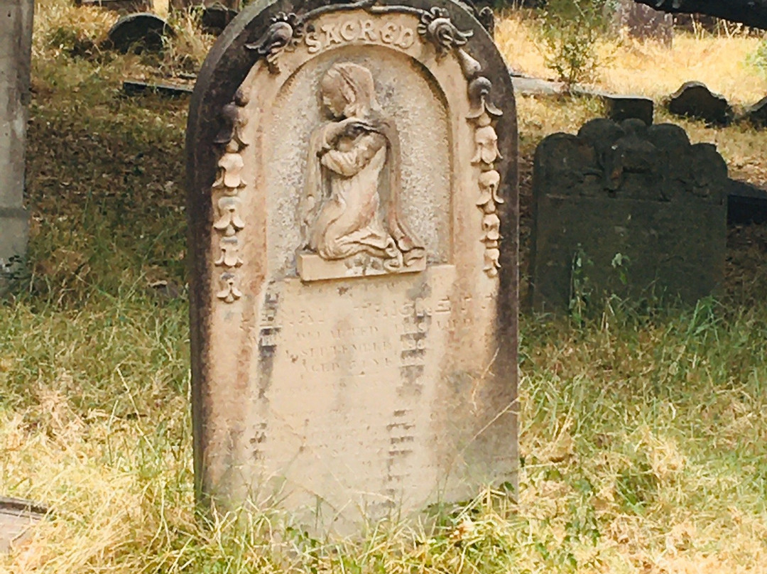 Camperdown Cemetery-新镇必去景点