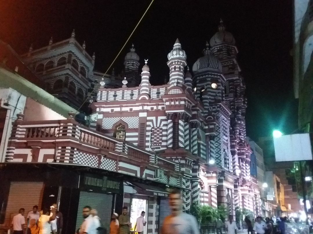 Singing Fish Tuk-科伦坡必去景点